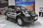Chery Higgo (P11): Фото 7