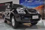 Chery Higgo (P11): Фото 8