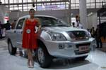 Chery Higgo (P11): Фото 15