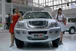 Chery Higgo (P11): Фото 16