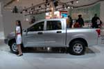 Chery Higgo (P11): Фото 21
