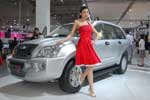 Chery Higgo (P11): Фото 27